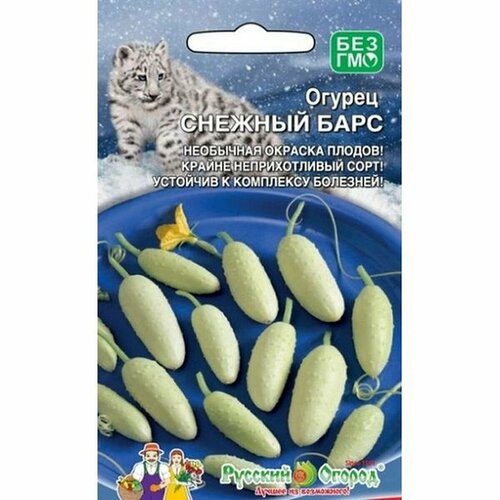 ���� ������ ������ ������� ���� ��. ��. 10�� ������ ������