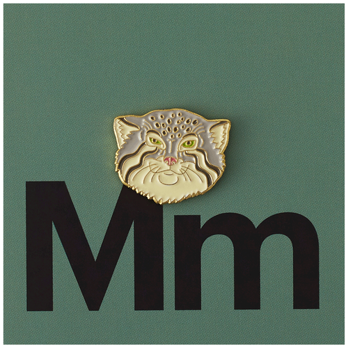 ���� ������ PinPinPin ����� ������ ������