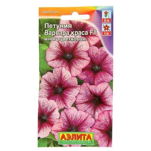 ���� ������ ������ ������� 