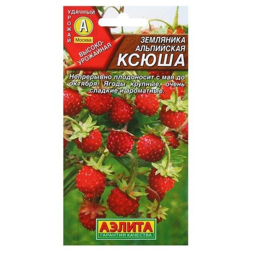 ���� ������ ��������� 