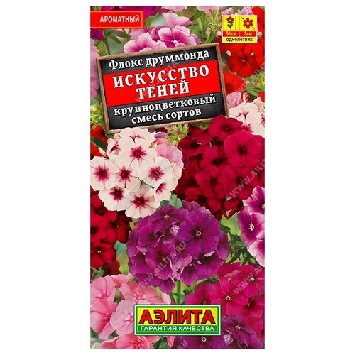 ���� ����� 