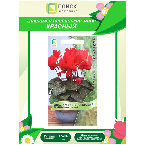 ���� ������ �������� ���������� ���� ������� ��������� 2 ��. ������ ������