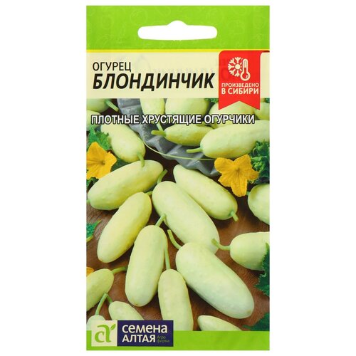 ���� ������ ������ 