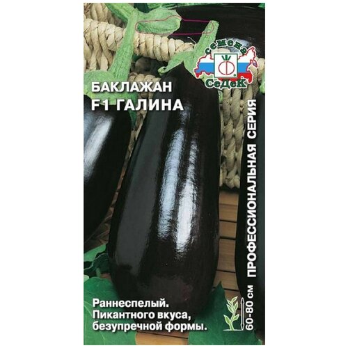 ���� ������ ��������� ������ ������ ������