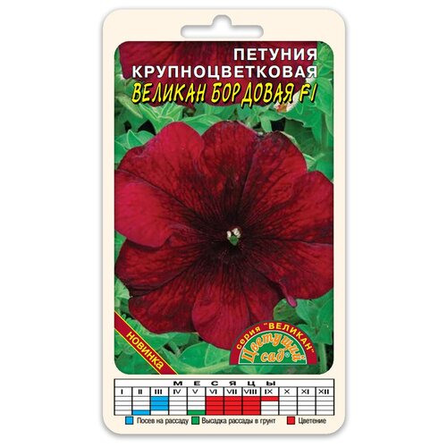 ���� ����� ������� ��������������� ������� �������� F1 (������ �������� ��� 10 ��. � ������) ������ ������