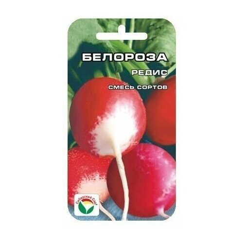 ���� �������� ����� 2�� ����� (��� ���) ������ ������