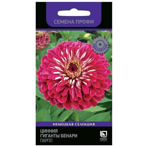 ���� ������ ������ ������� ������ ����� ��������� ������ ����� ���������� 10 ��. ������ ������