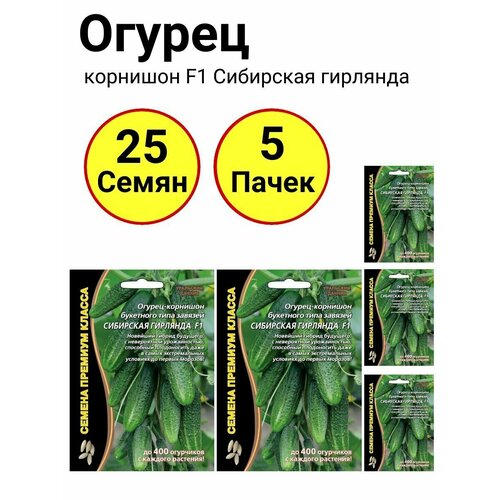 ���� ������ ������ 