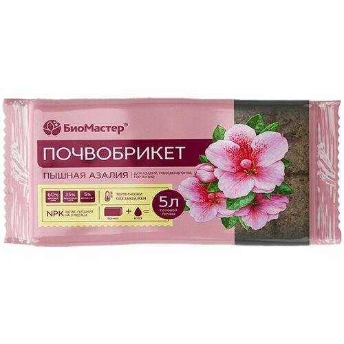 ���� ����������� ��������� ������ ������ 5 � ������ ������