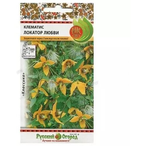 ���� ������ ������ �������� ������� ����� (20 ��. �����) ������ ������