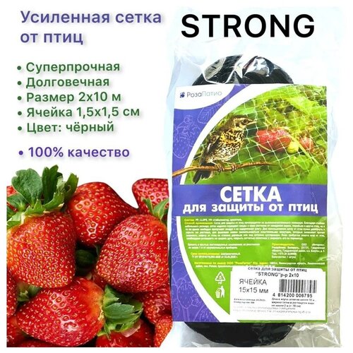     STRONG  , 10   2 ,    -     , -, 