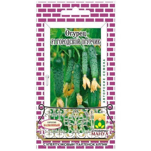 ���� ������ ����� 