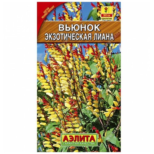 ���� ������. ������ ���������� 