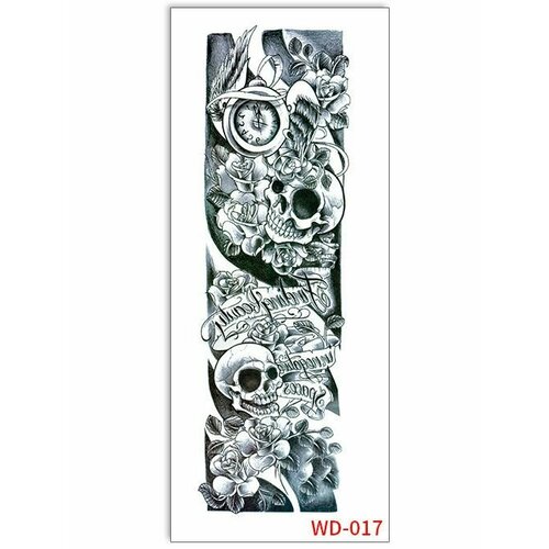 ���� ���������� ��������� ���� ����� �� �������� / 43 � 15 �� ���� ������ ������