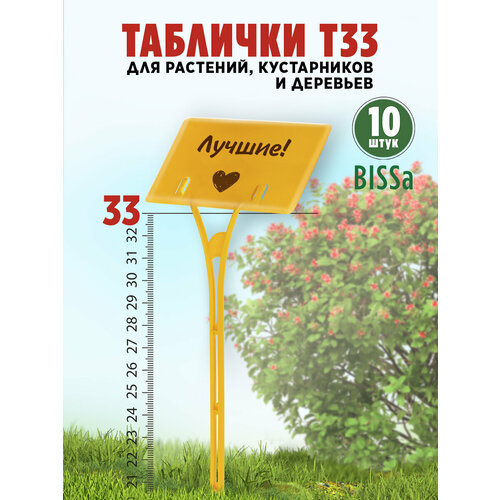 ���� ������� �������� ��� ��������, Bissa �33, ������, 10 �� ������ ������