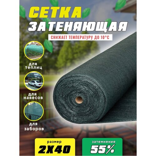 ���� ����� ���������� 55% 1�10� ������ ������