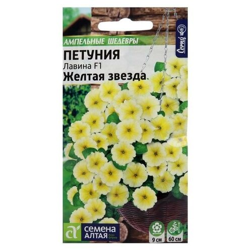 ���� ������ ������� ��������� ������ ������ ������ F1 ���������� 10 ��. ������ ������