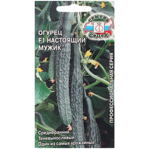 ���� ������ ����� ������ ��������� ����� F1 0.2 � ������ ������