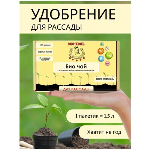 ���� ��� ���� ��������� ��� ������� ���-��� ������ ������