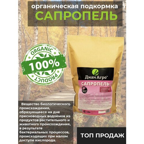 ���� ��������� ������������� ������������� ��������� ������ ������