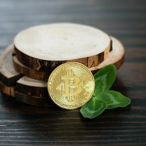 ���� ������ ���������� ���������� Bitcoin BTC ������� (������) � ����������� ���������� ������� (d 4,1��, ��� 21�) ������ ������