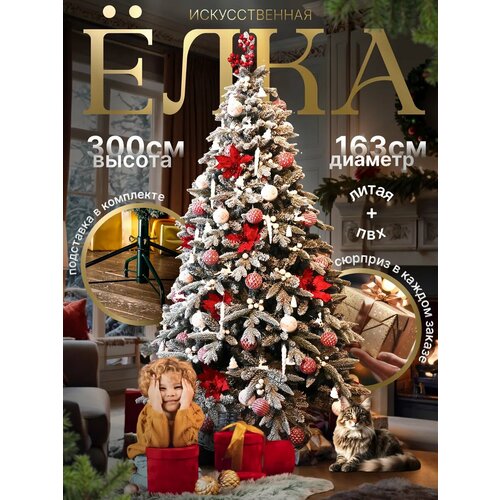 ���� ������������� ���� 300 �� ����������� ����� + ��� ������ ������