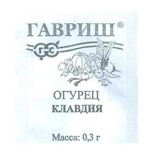 ���� ������. ������ 