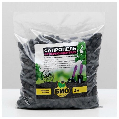 ���� ���-�������� ��������� ���-�������� ��������������� 3 � ������ ������