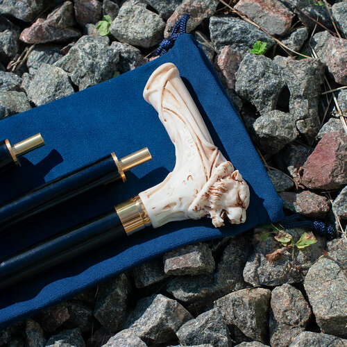 ���� ������ ���������� ���� ������ ������