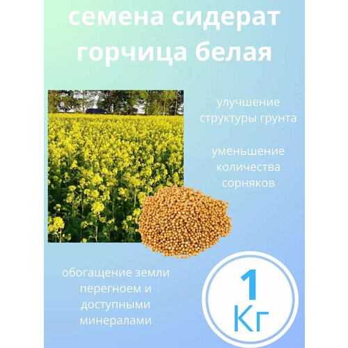 ���� ������� ����� ������ ������� 1 �� ������ ������