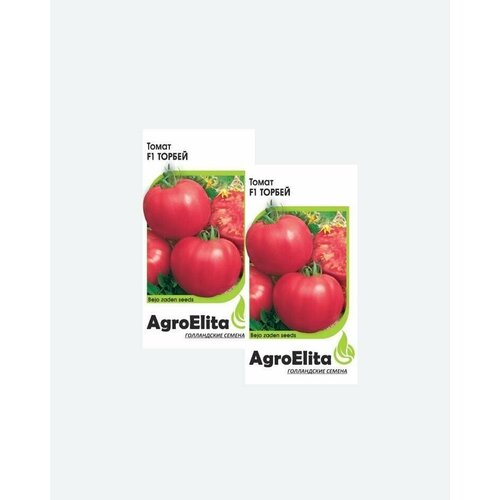     F1, 5, AgroElita, Bejo(2 )   -     , -, 