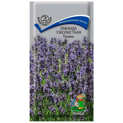 ���� ������ ������� ����������� ������� 0,1 �� ������ ������