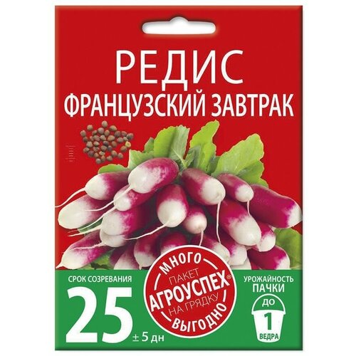 ���� ����� ����������� �������, ������ �����-������� 10� ������ ������