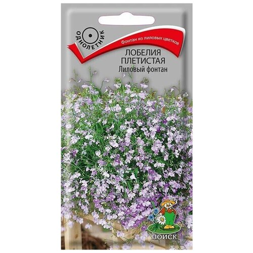 ���� ������ ������� ��������� ������� ������ 0,1 �� ������ ������