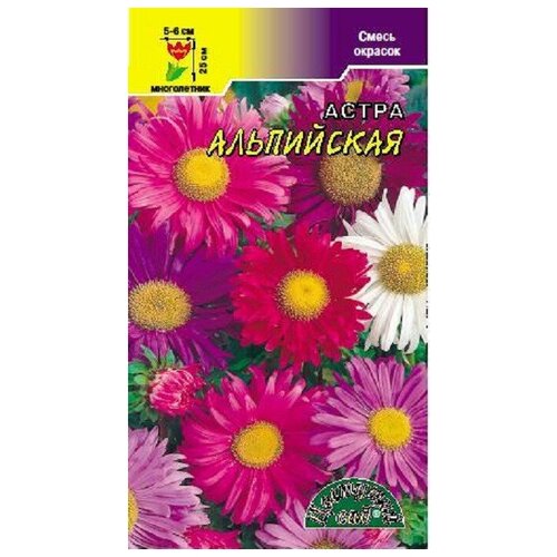 ���� ������ �������� ��� 