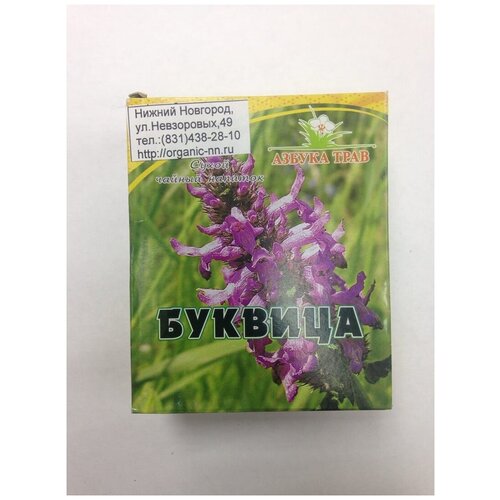 ���� ������� �������������, ����� 1,5��*20 ������-������� ������ ���� (Betonica officinalis L.) ������ ������