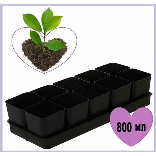 ���� �������� ��� ������� � 4 (������ � 10 �������� �� 0,8 �) �������. ������������ ����� ��� ����������� �������� �������� � ��������� �������� ������ ������ ������