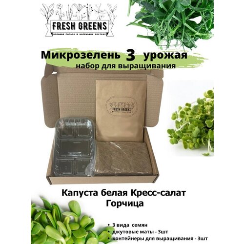      Fresh Greens (  - )   -     , -, 