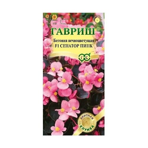 ���� ������ ������� ������ ������� ���� F1 ��������� 4 ��. ������ ������