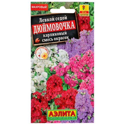 ���� ������ ������ ������ ���������� 