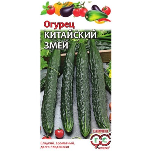 ���� ������ ������ ������ ��������� ���� 0,5 �, 10 ��. ������ ������