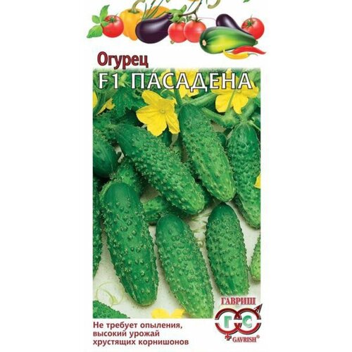 ���� ������ ������ �������� F1 �������� 0,3� ������������������ (������) ������ ������