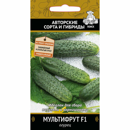 ���� ������ ������ ���������� F1 12�� ������������������ ������ (�����) ����� ������ ������