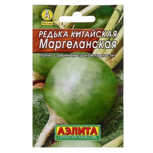 ���� ������ ������ 