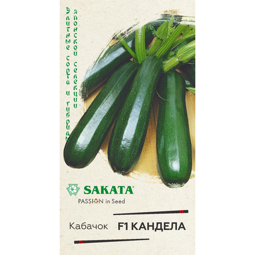 ���� ������ ������� ������� F1 5�� ������ (���������) ��������� ������ ������ ������