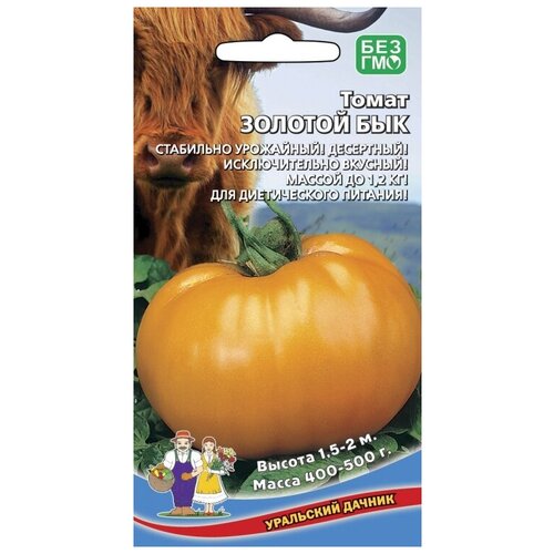 ���� ������ ����� ������� ��� ������ ������