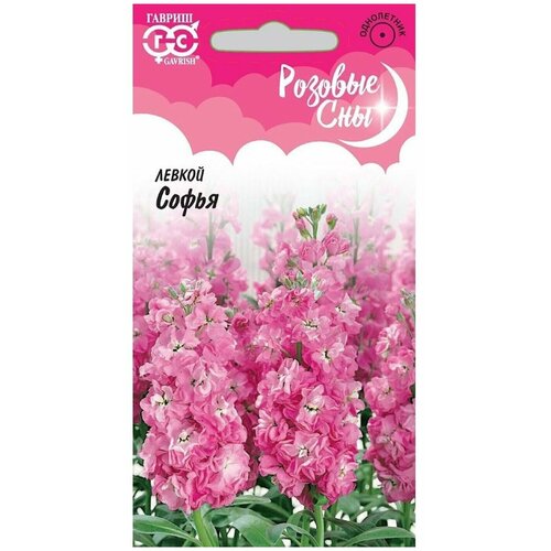 ���� ������ ������ ������� ��� ����� ������ ������