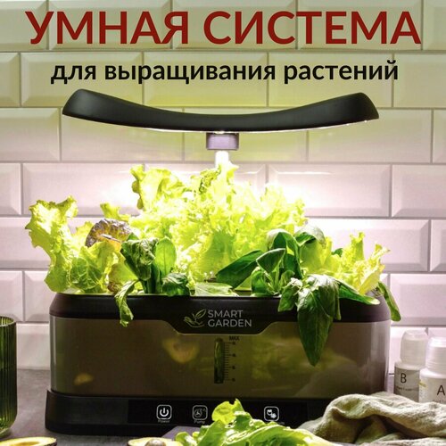 ���� ���������� ����� ���, ������������� ��� �������� �� ����������� Aqua Maxi ������ ������