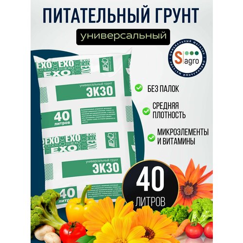 ���� �����! ������������� ����� ����, ���������� 2040 �, ������ ������ 51 �����. ����� ��� �������� � ������� �����������. ������ ������