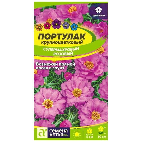 ���� ������ ������ ����� �������� �������������, �������, 0,1 � ������ ������